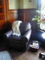 Leather Chair.JPG (20070 bytes)